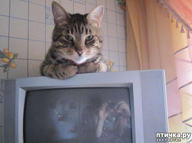 ���� 5: �������.