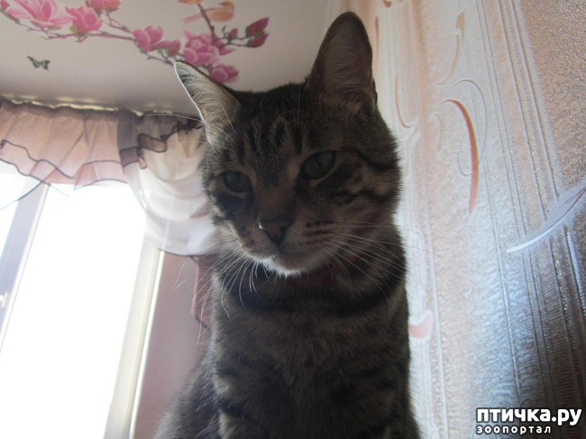 ���� 1: �������.