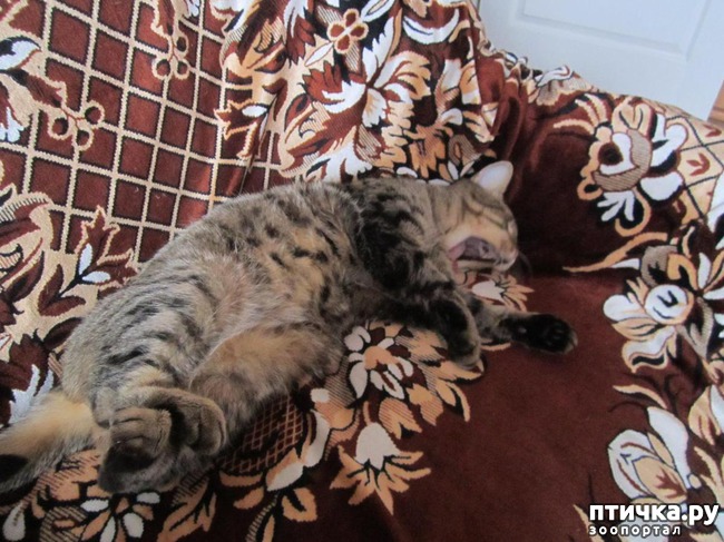 ���� 7: �������.