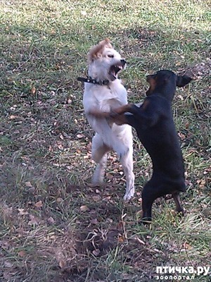 ����: ������ ���� �������)))