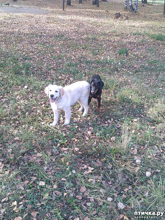 ���� 3: ������ ���� �������)))