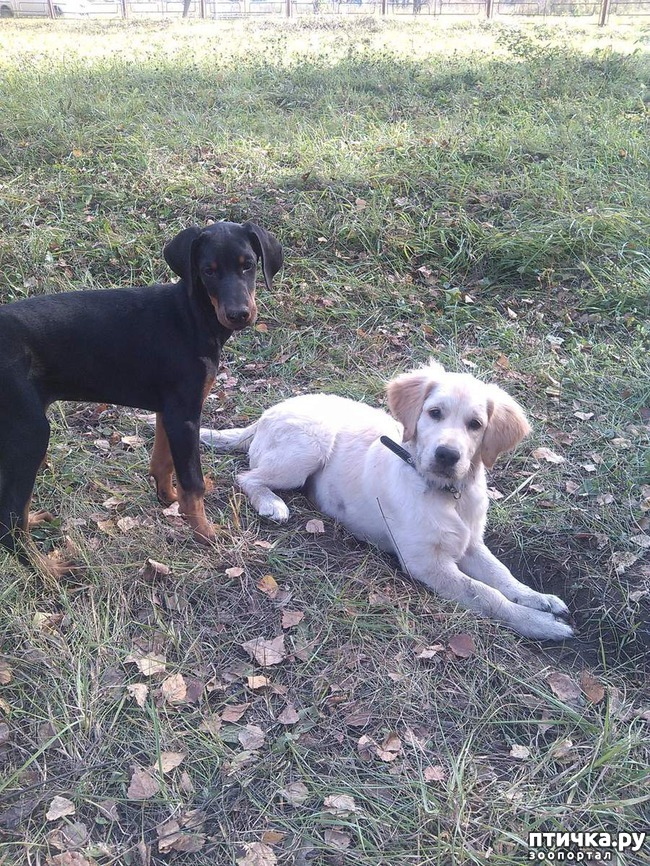 ���� 4: ������ ���� �������)))