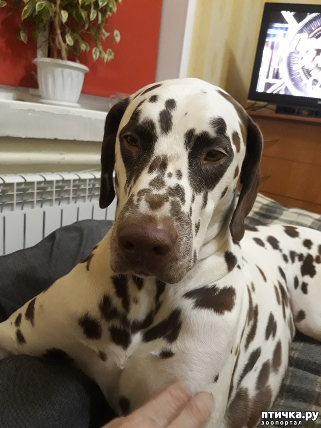 ���� 1: ��������� �������