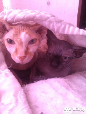 ����: � ��� � ��� ��������, � ��� � �� ������ ���������)))