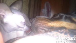 ����: ��� ��� ��� ������� ����� ���� �����...