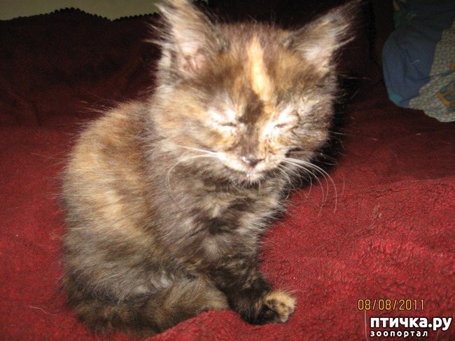 ���� 5: �������--�������� ��������� �����