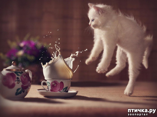  5:  ,     )))