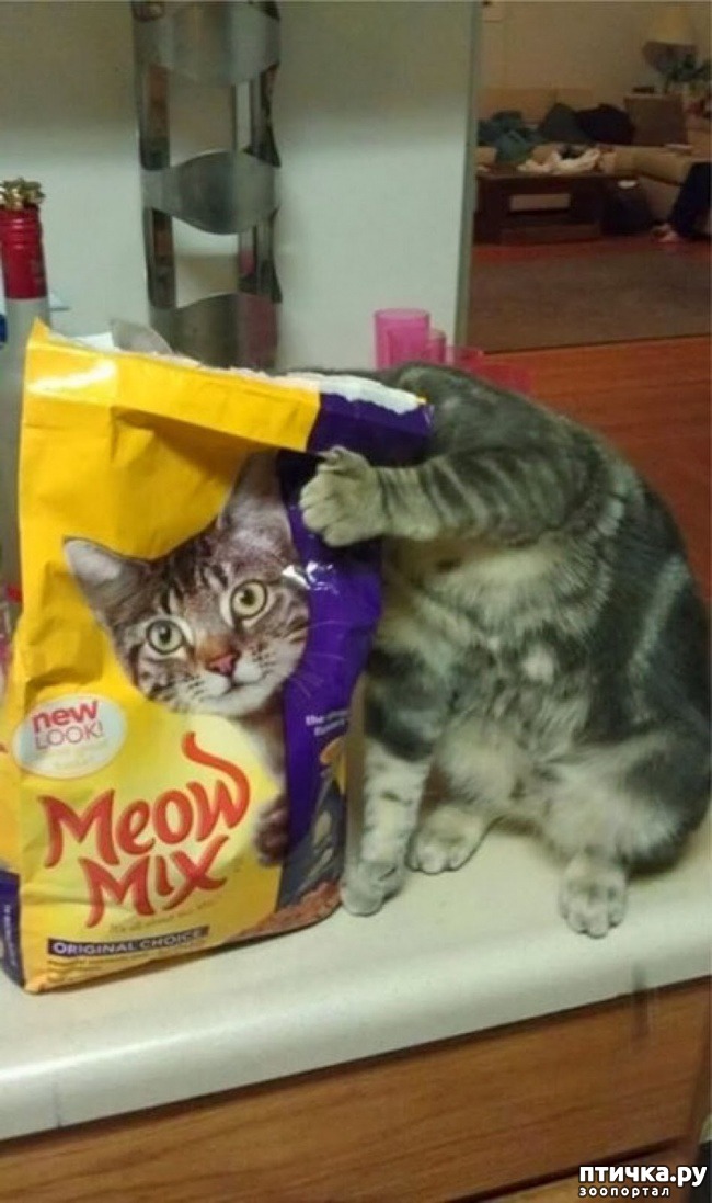  12:  ,     )))