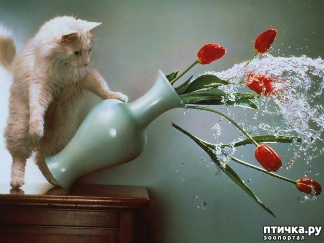  16:  ,     )))
