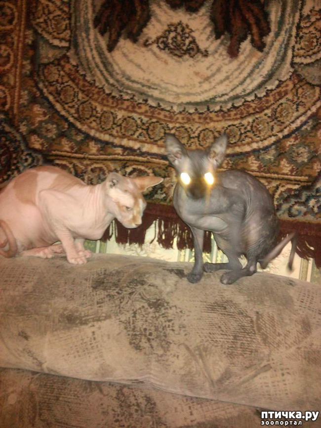 ���� 2: ��� ��� ��� ������� ����� ���� �����...