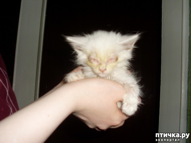 ���� 1: ���� � �������, ����� ����