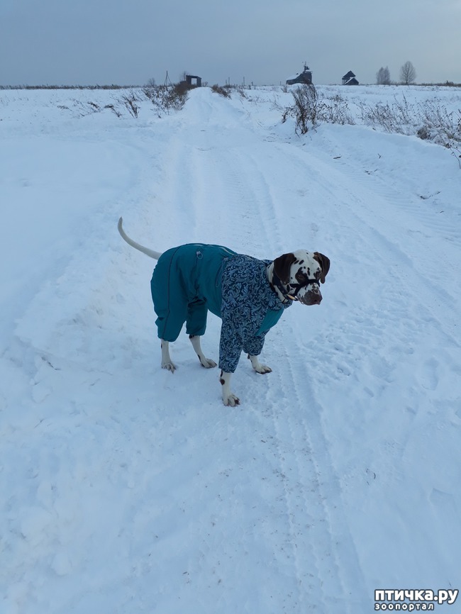 ���� 2: ��������� �������