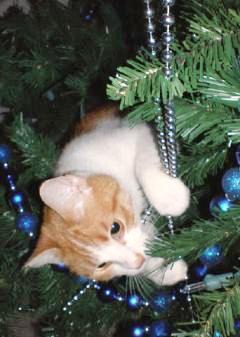 ���� 1: � ����� �����, 