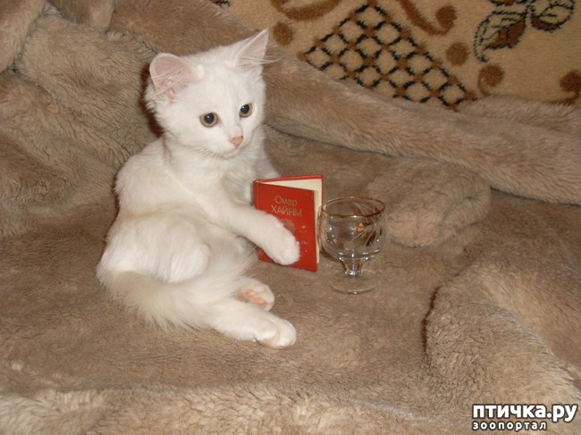 ���� 3: ���� � �������, ����� ����