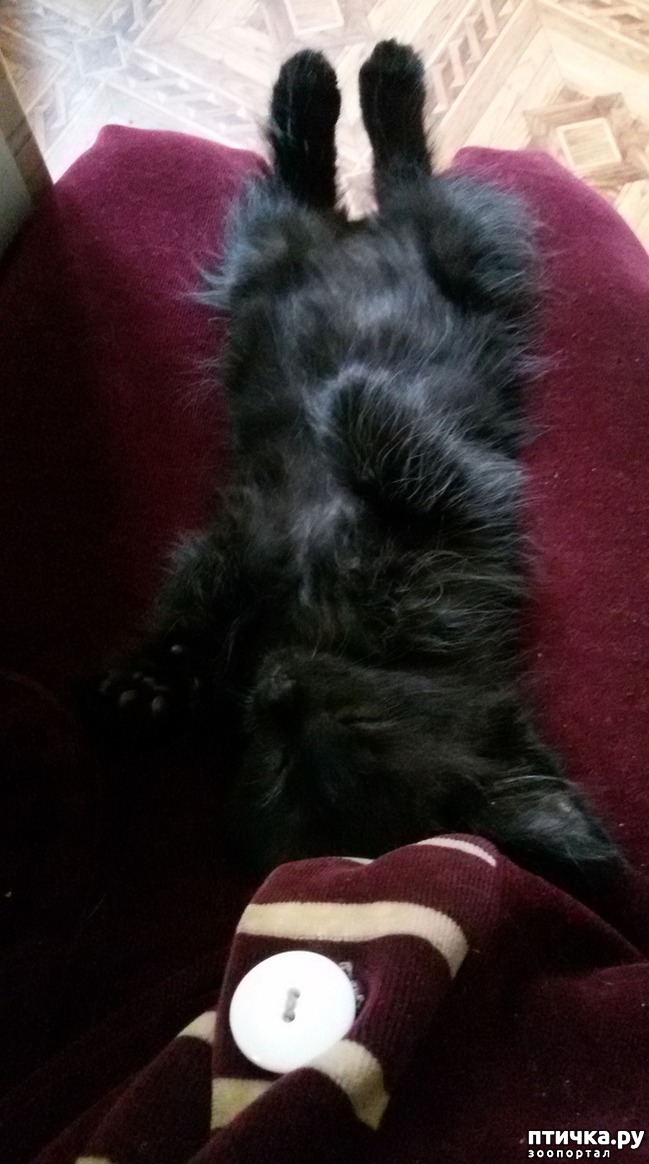 ���� 8: �������--�������� ��������� �����