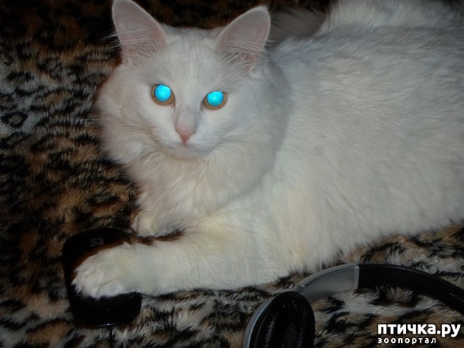 ���� 4: ���� � �������, ����� ����