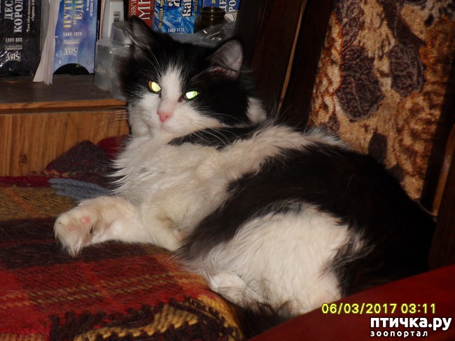 ���� 1: �������, ������������ �������.