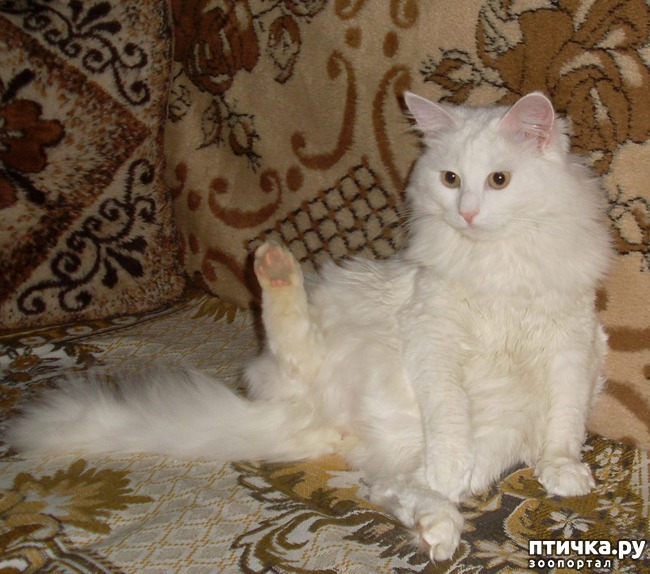 ���� 5: ���� � �������, ����� ����