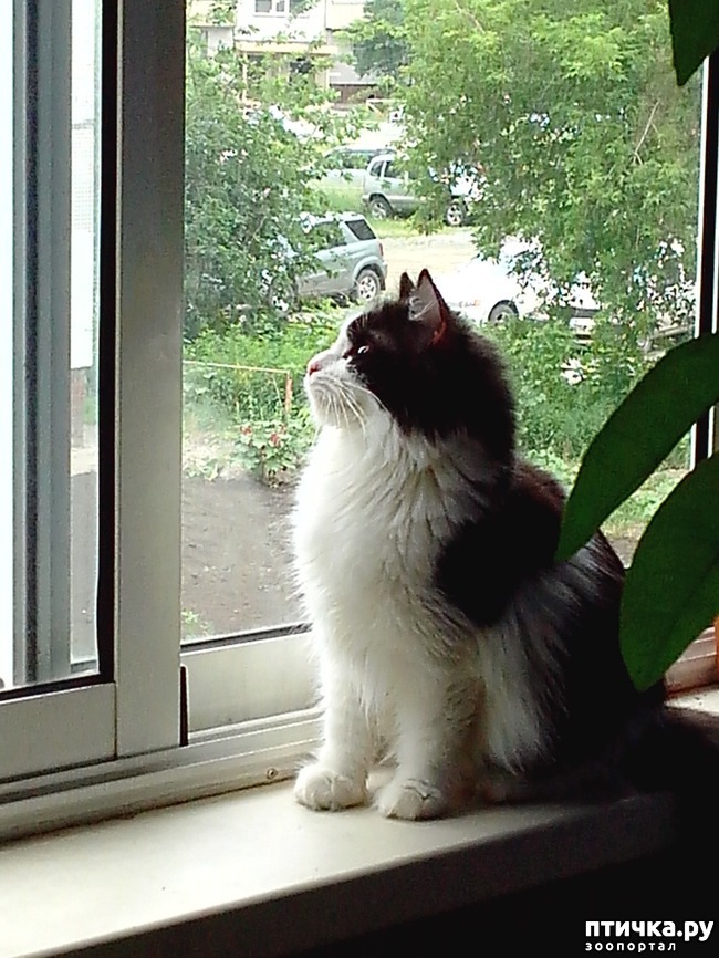 ���� 2: �������, ������������ �������.