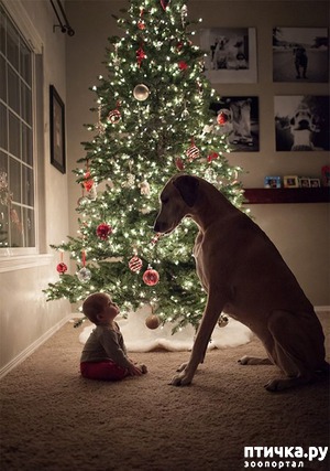 ����: ���������� ������� � ������� �����