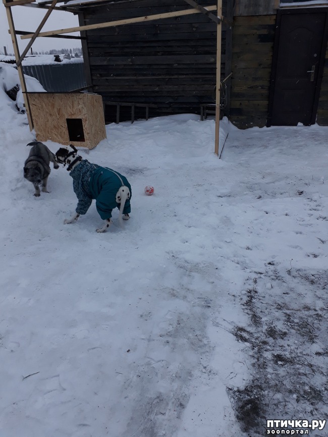 ���� 4: ��������� �������