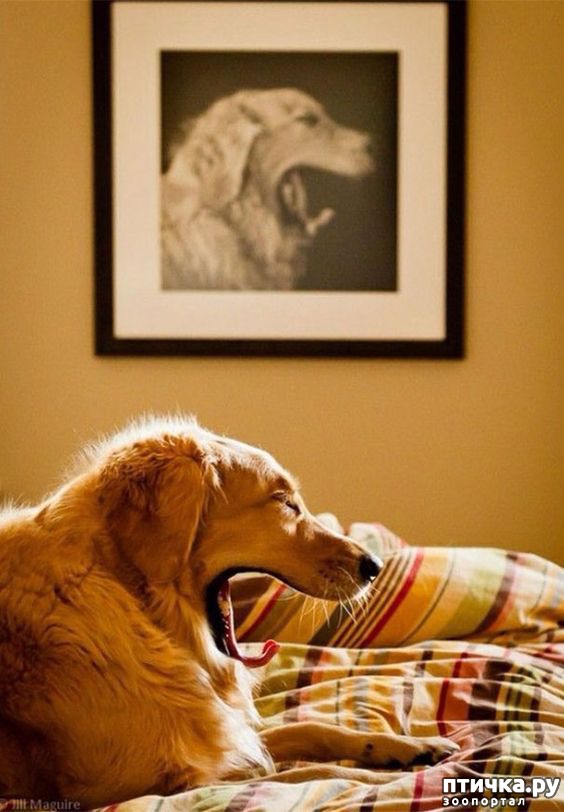 ���� 2: ���������� ������� � ������� �����