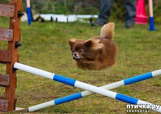 ���� 3: ���������� ������� � ������� �����