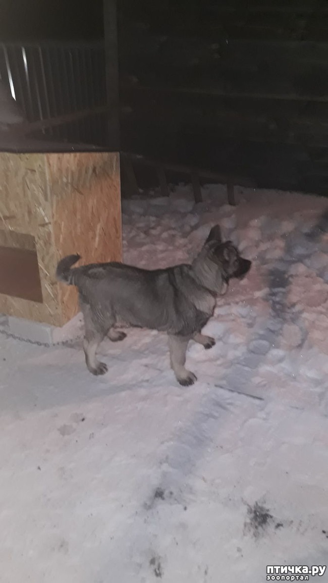 ���� 5: ��������� �������