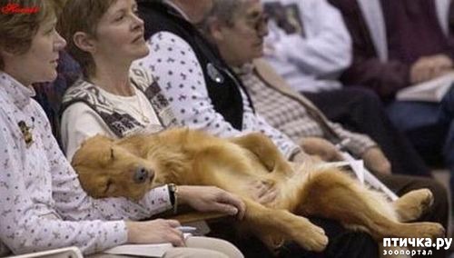 ���� 4: ���������� ������� � ������� �����