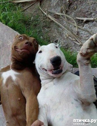 ���� 8: ���������� ������� � ������� �����