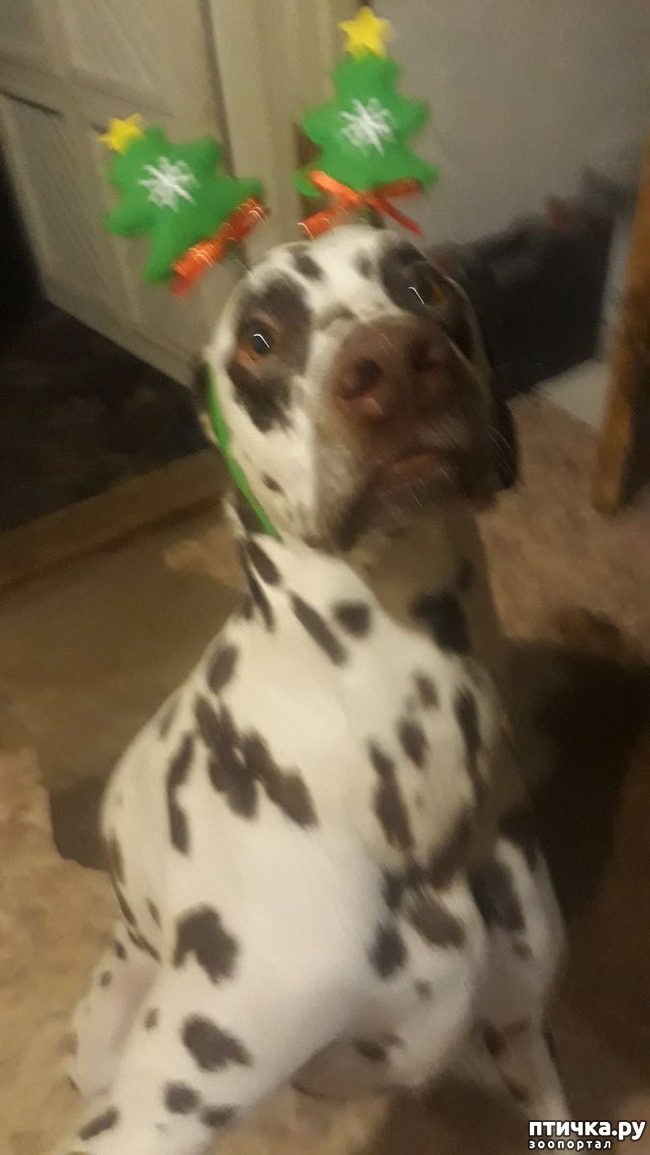 ���� 6: ��������� �������