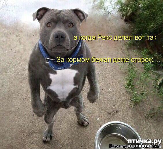 ���� 9: ���������� ������� � ������� �����