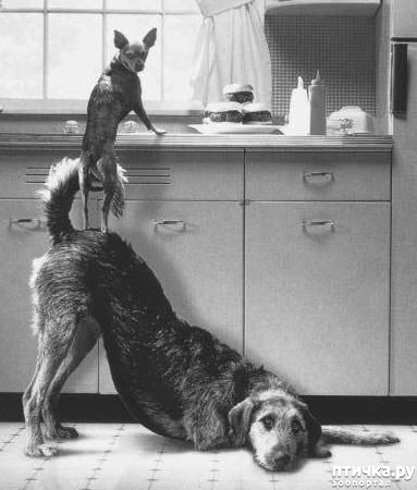 ���� 12: ���������� ������� � ������� �����