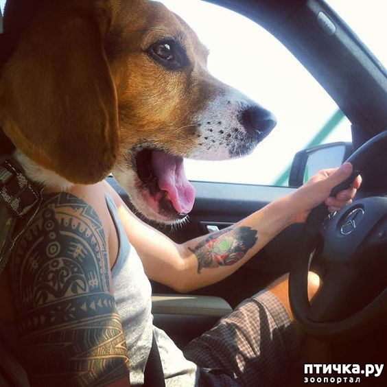 ���� 13: ���������� ������� � ������� �����