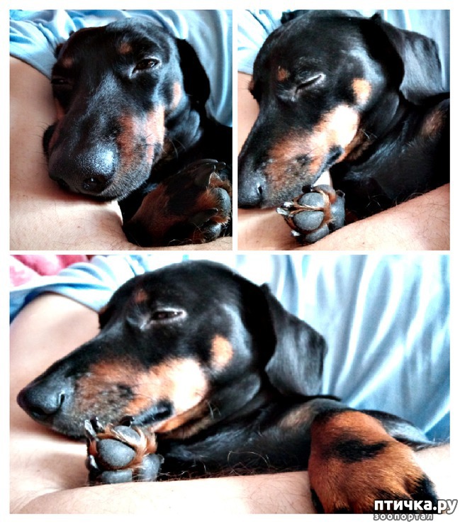 ���� 1: �������� 