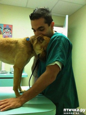 ����: ��������, �� �������� ������������� �����, ������� �������� ��