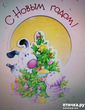 ����: ������������ ����� � �����.