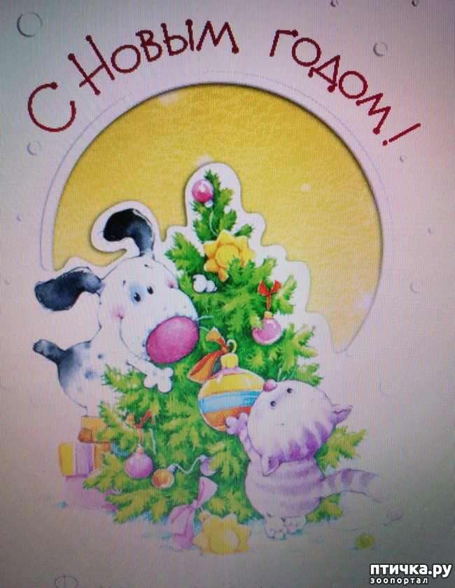 ���� 1: ������������ ����� � �����.