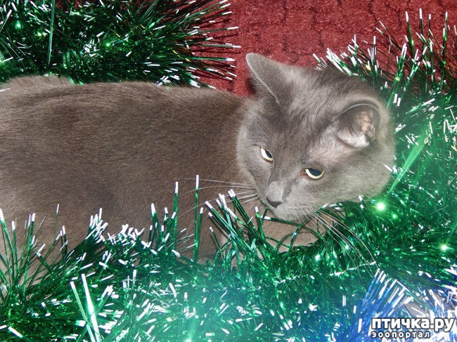 ���� 1: ��� ������� ������� �������