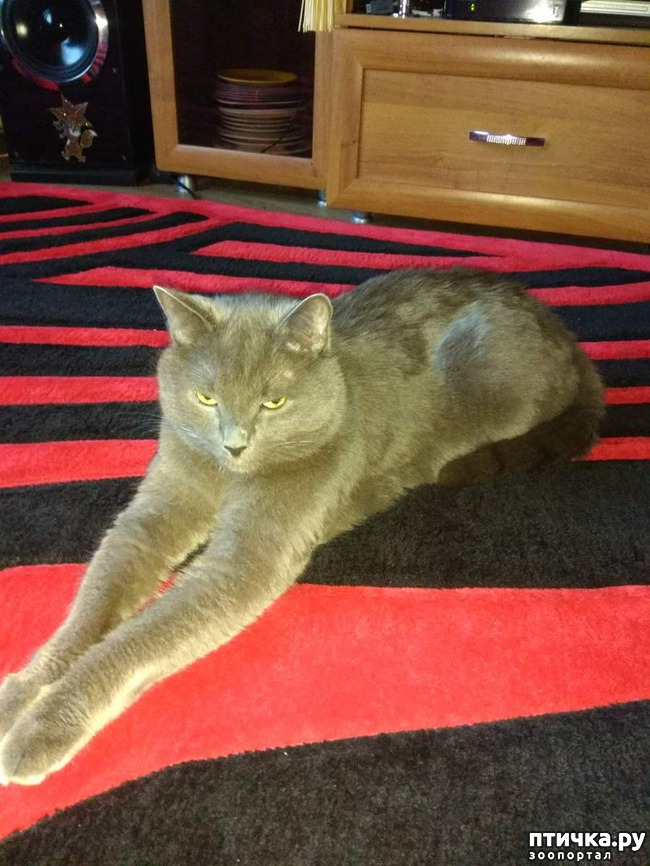 ���� 2: ��� ������� ������� �������