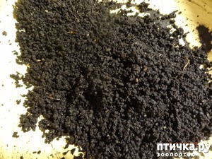 ����: ��������� ������������ ��������