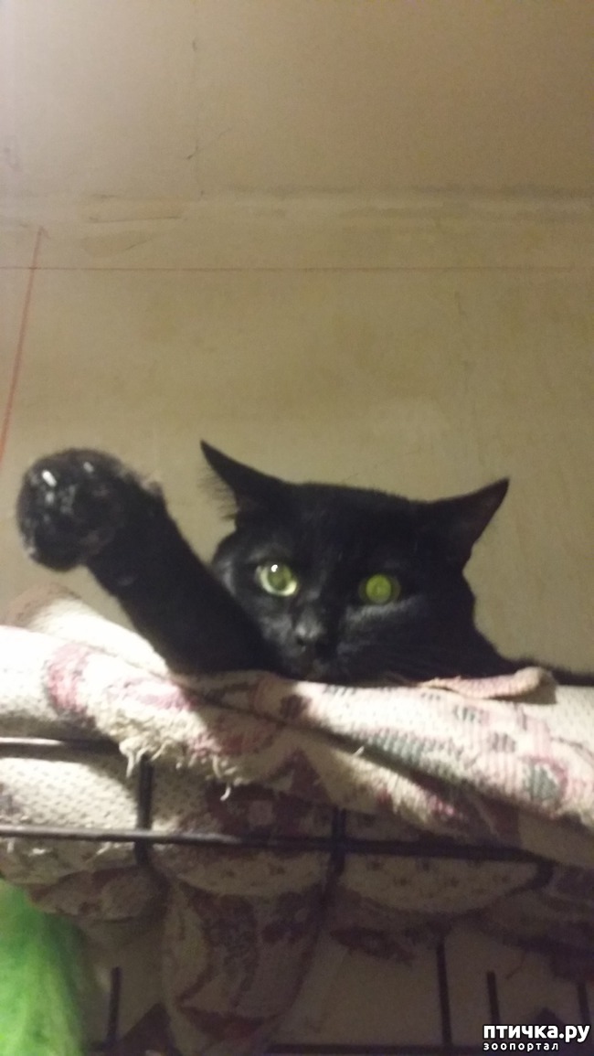 ���� 1: � ���. ������� �������λ