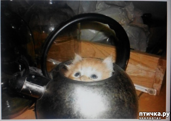 ���� 1: ����� ������� ����.