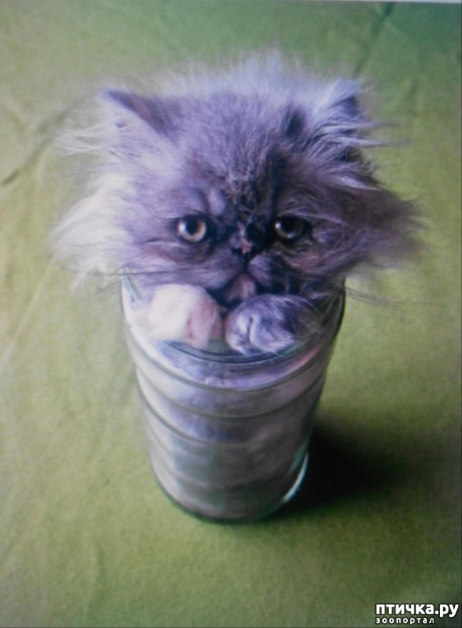 ���� 2: ����� ������� ����.