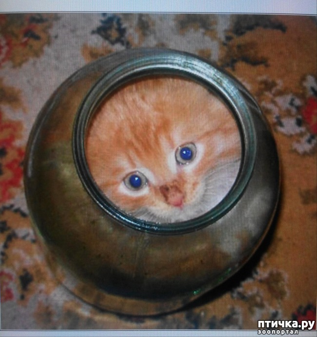 ���� 3: ����� ������� ����.