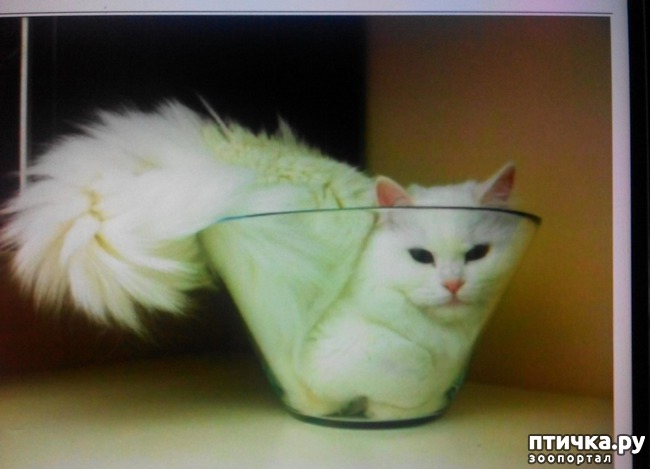 ���� 4: ����� ������� ����.