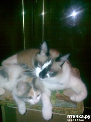 ����: ��� ��� ��� ���� �����.