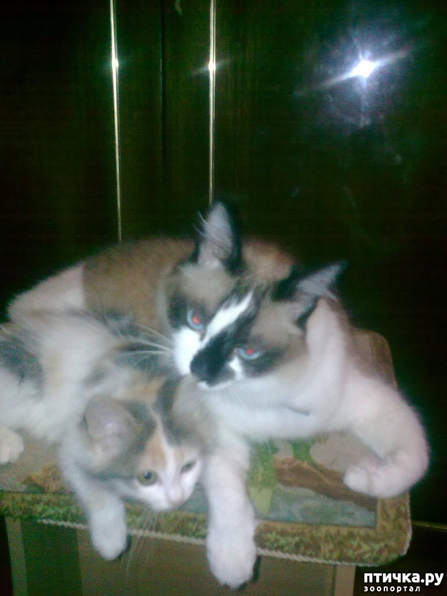 ���� 1: ��� ��� ��� ���� �����.