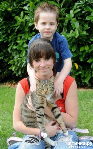 ����: ��������� �����... ���))