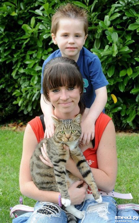 ���� 1: ��������� �����... ���))